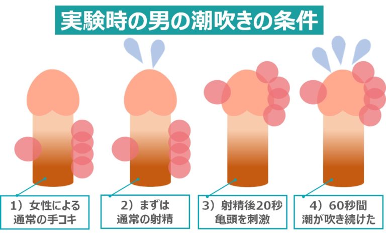 【婦人科医が解説】女性器の潮吹きの正体は○○？真実を明かします！！