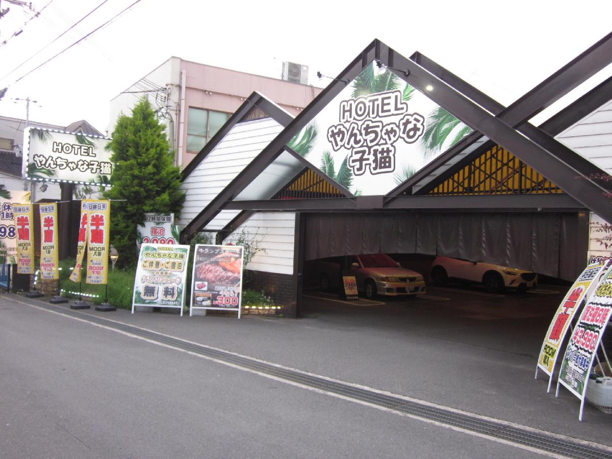 やんちゃな子猫 梅田兎我野店 - 梅田/ホテルヘルス・風俗求人【いちごなび】