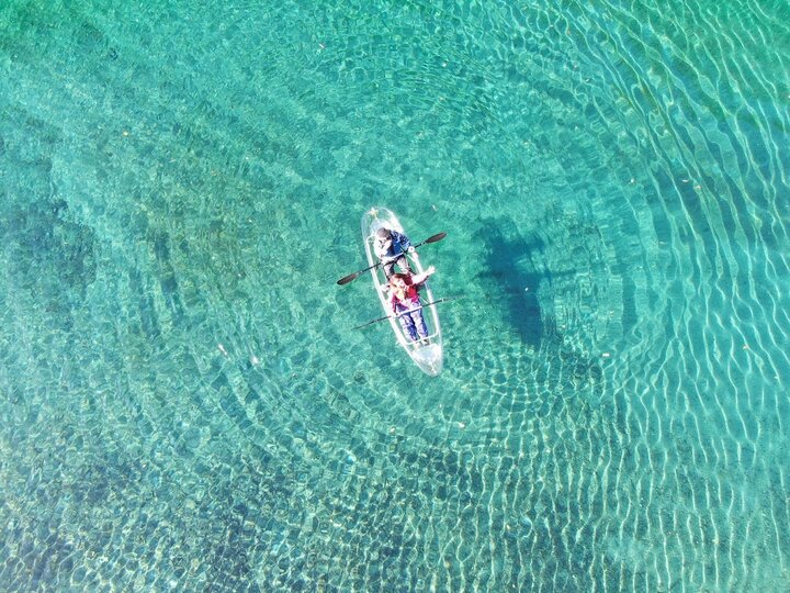 このアイス、なんて呼んでる？高知県発の「おっぱいアイス」が全国区になったワケ｜ウォーカープラス