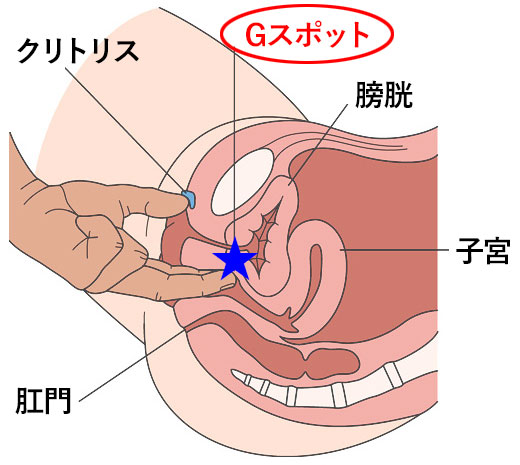 寝バックのやり方をイラストで紹介！女性が中イキしやすい体位って本当？挿入方法は？