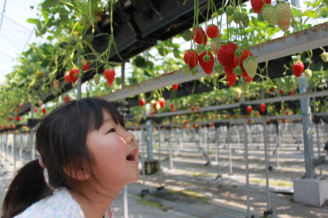 子どもと公園！ in静岡 |