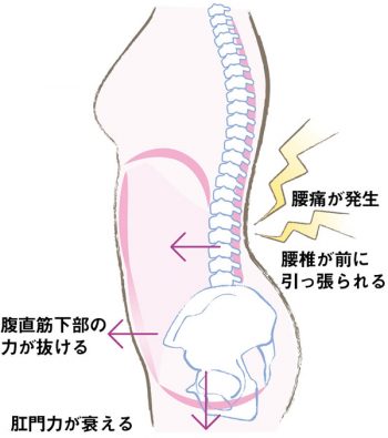 前立腺肥大症を予防・治療する方法とは？前立腺がんと何が違うの？ - 医療法人神楽岡泌尿器科 | 北海道旭川市