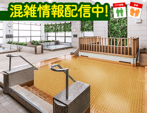 第二和泉湯 門前仲町【レビュー】 駅近の便利な銭湯 –