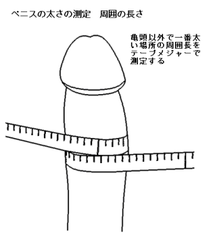 短小包茎とは！短小は何センチから？日本人の平均サイズや治療法 - アトムクリニック - atom-clinic