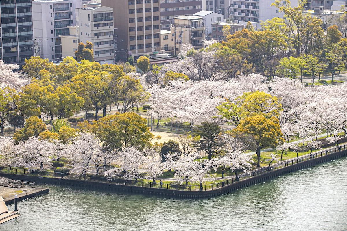 桜の名所2021年のお花見はどうなる？コロナ対策は？人気スポットの対策をチェック | トラベルスタンダードジャパン