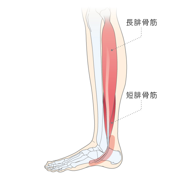 欲しい血管、いらん血管 | 〜人生MAX87㎏からフィットネスライフへ～