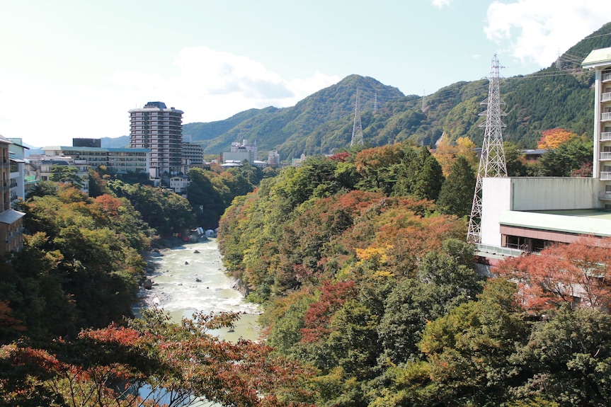 鬼怒川温泉 山楽 【お部屋】全室７４平米鬼怒川沿いのお部屋【楽天トラベル】