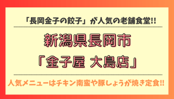 【クレーンゲーム旅】20個GET？おたちゅう長岡店　新潟シリーズ