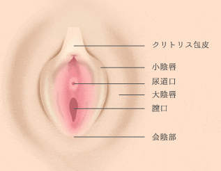 待ち受け】クリ剥き テクニック|クリトリスの皮の剥き方を画像で解説！自分で剥く・剥いてもらうやり方|クリトリスをマッサージして開発する方法！ -