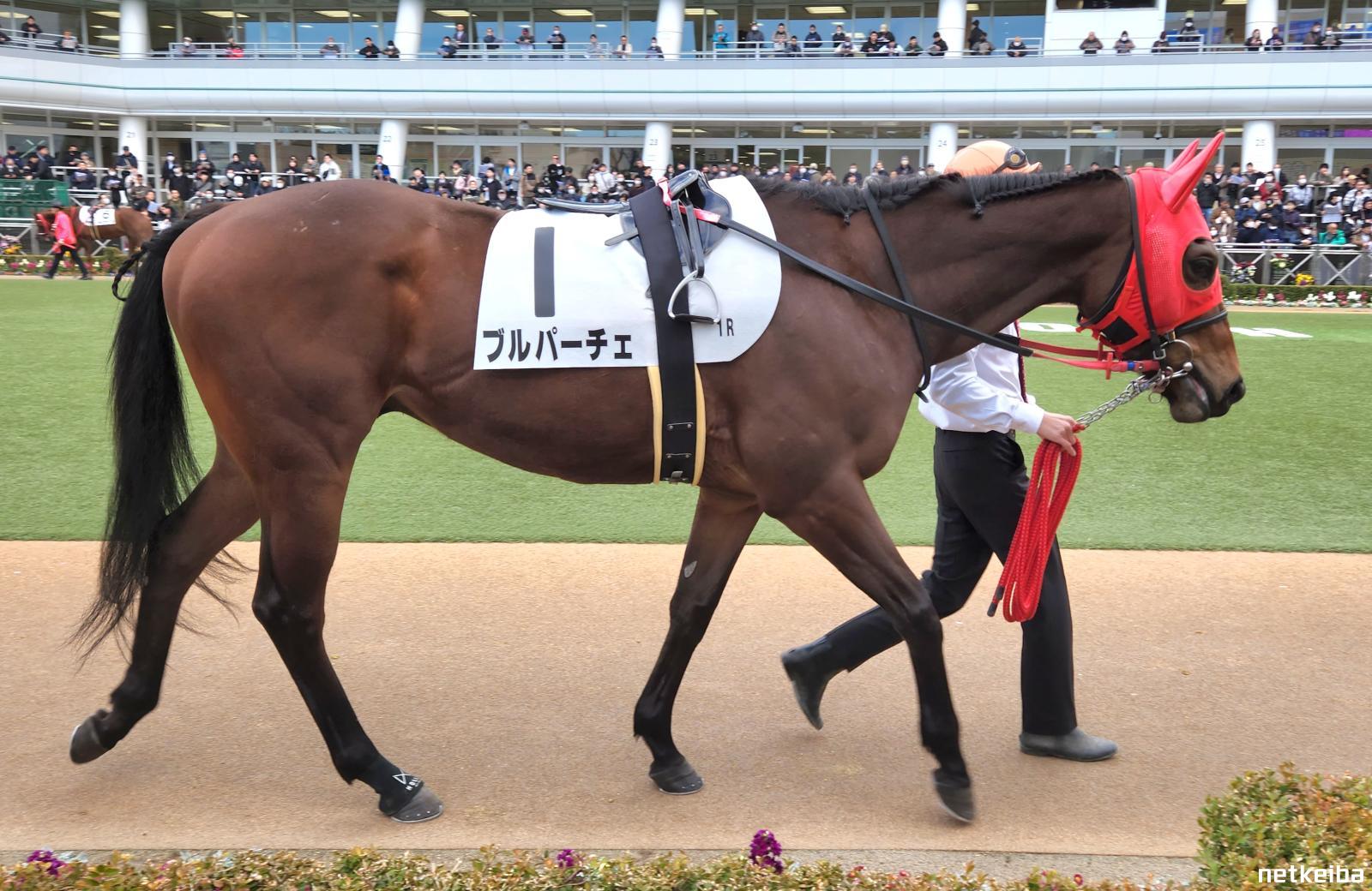 石川ブルースパークス | 第96回天皇杯・第87回皇后杯全日本バスケットボール選手権大会公式サイト