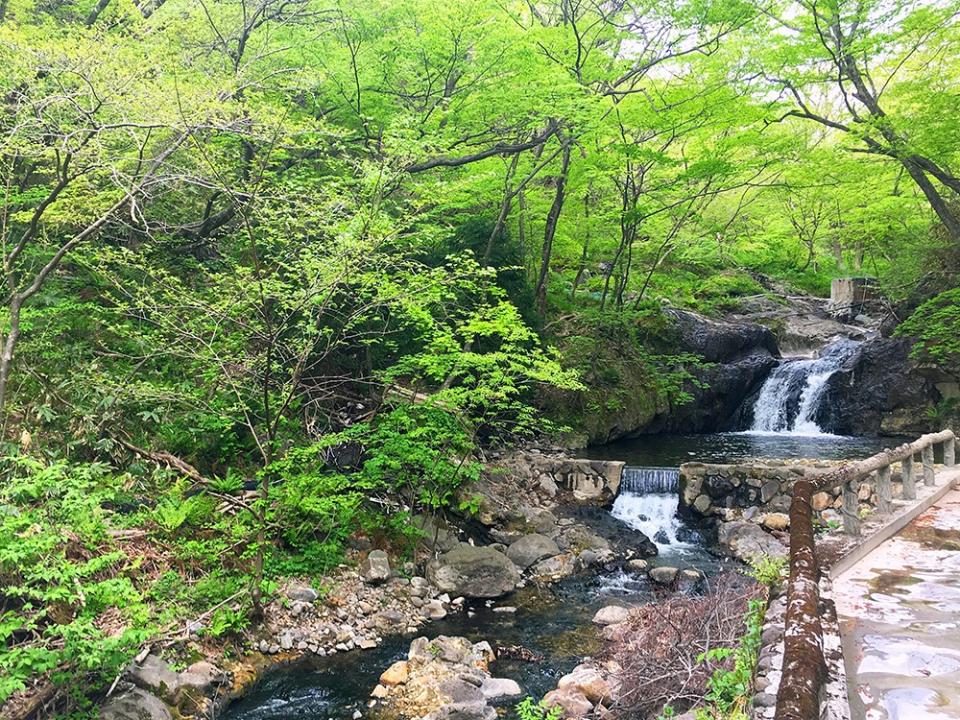 宮城【鳴子温泉郷】中山平温泉　琢ひで～女ひとり秘湯の美人の湯でオールインクルーシブを楽しむ♪日本秘湯を守る会　混浴風呂がすごすぎた。。