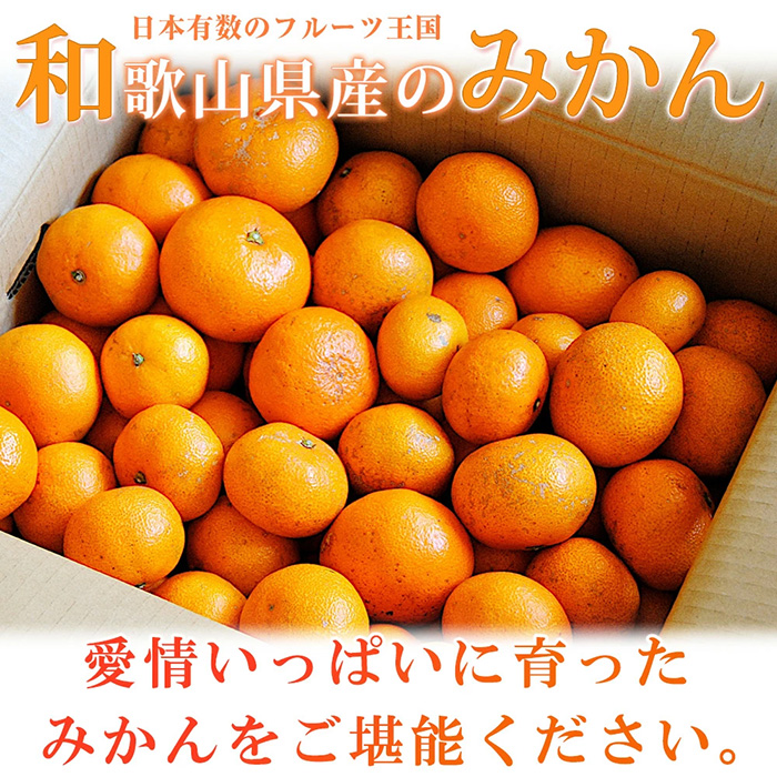 数量限定】糖度12度以上の初夏みかん なつみ 約5kg -