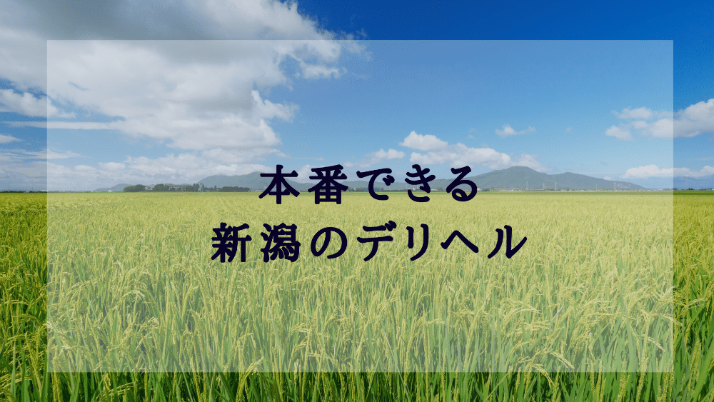 本番できる】新潟のデリヘルおすすめ店ランキング - 出会い系リバイバル