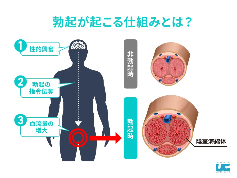 神は手に宿る！手だけで彼を果てさせるテク - 夜の保健室