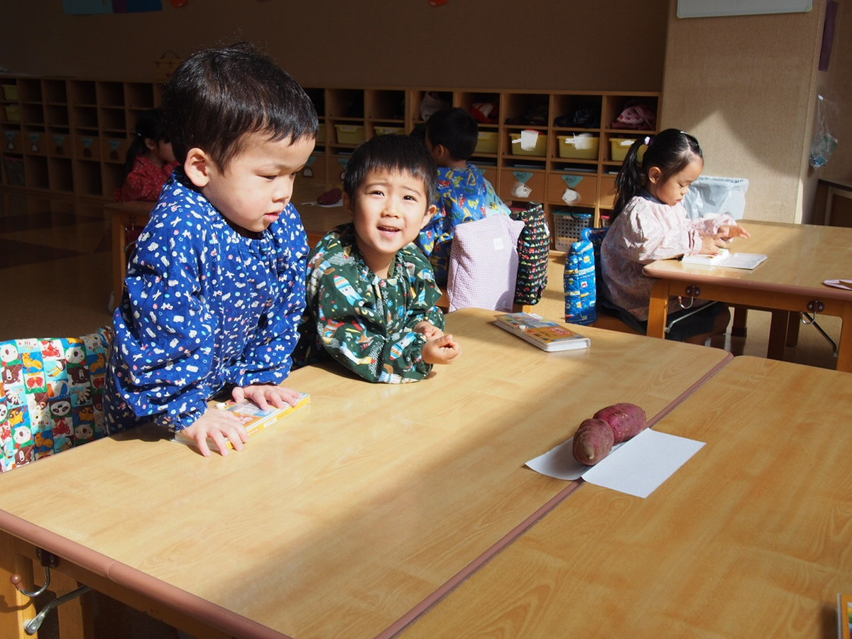 おいも学園 新人速報