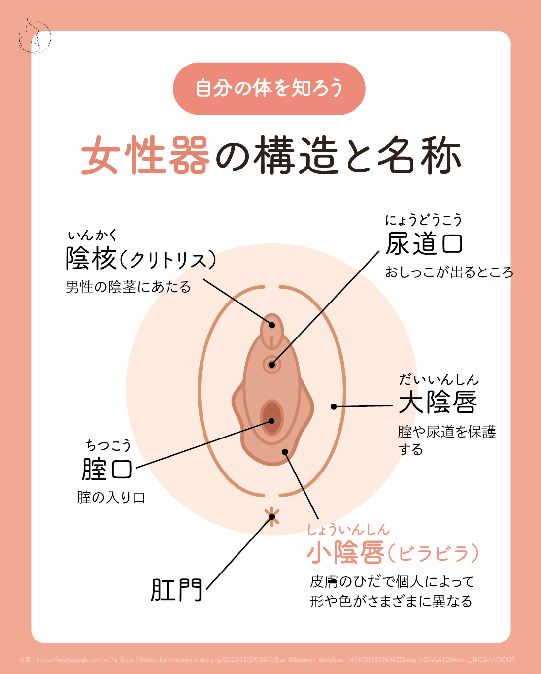 オナニーでどうやったらイクの？イクってなに？ | セイシル