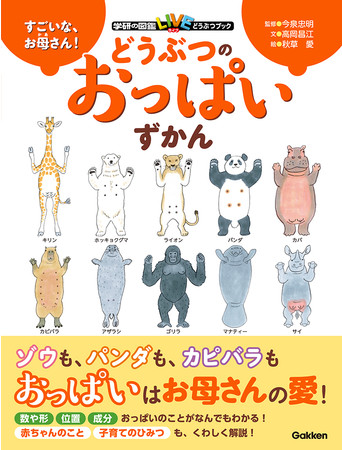 聖騎士になったけど団長のおっぱいが凄すぎて心が清められない｜少年エースplus公式サイト