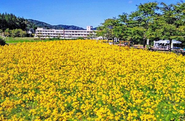 上越の出会い掲示板｜街コミNAVI