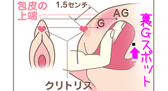 男性の性感帯 | 性と恋愛のサロン(*´˘`*)♥