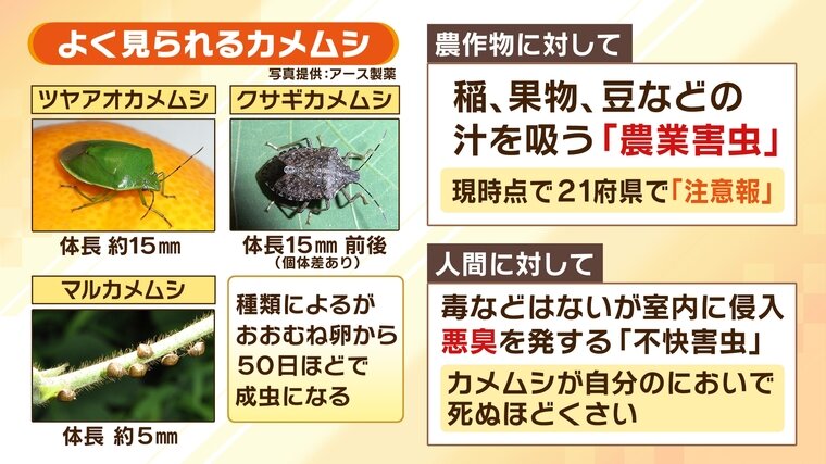 爆サイ」での誹謗中傷被害を相談する弁護士の選び方・弁護士費用 | 誹謗中傷なら弁護士法人泉総合法律事務所