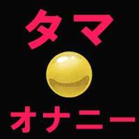 再販♡１白水引ふた輪赤梅飾り赤金玉しめ縄 注連縄 しめ飾り