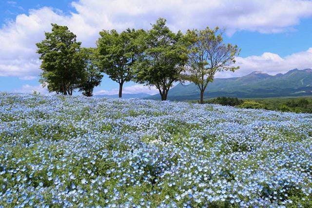 18ページ目 | 観光地の写真素材｜写真素材なら「写真AC」無料（フリー）ダウンロードOK