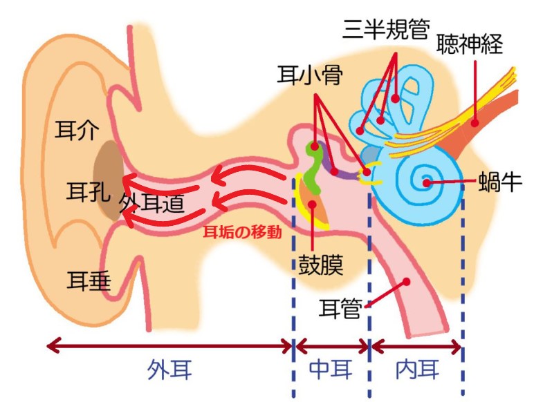 薬剤師が解説】おすすめ耳かき10選！耳垢の状態に合わせた選びかたも紹介 – EPARKくすりの窓口コラム｜ヘルスケア情報