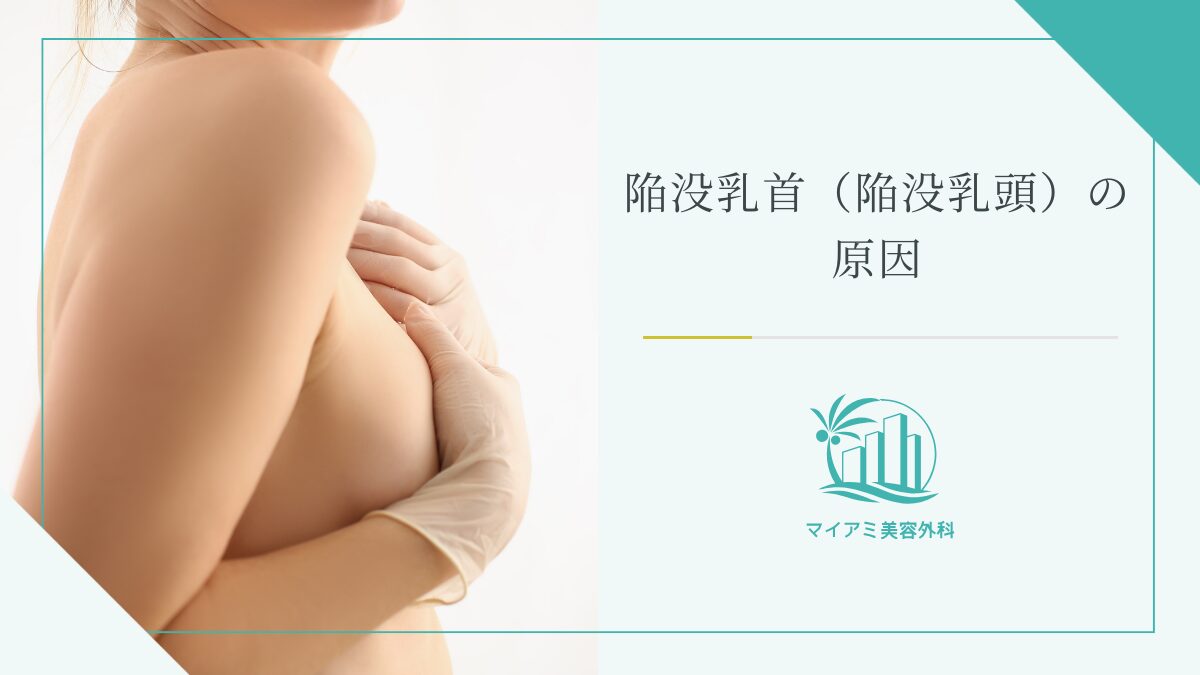 短乳頭乳- Top 100件短乳頭乳- 2024年11月更新-