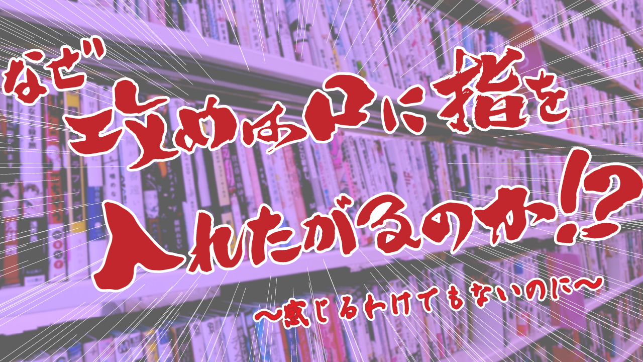 指入れ攻受セット① - CLIP