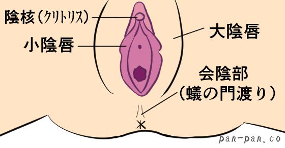 ＳＥＸが上手い男の手に宿る不思議なチカラ | クノタチホオフィシャルブログ「恋学・性学研究室」Powered by Ameba