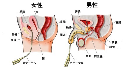 クスコや綿棒をマンコ、尿道に挿れちゃうチャレンジ精神旺盛なライブチャット☆