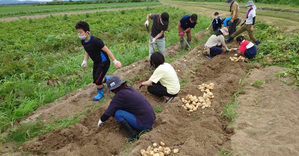 どうして】最近の松橋新潟に思う3つの事 【こうなった】｜白鳥