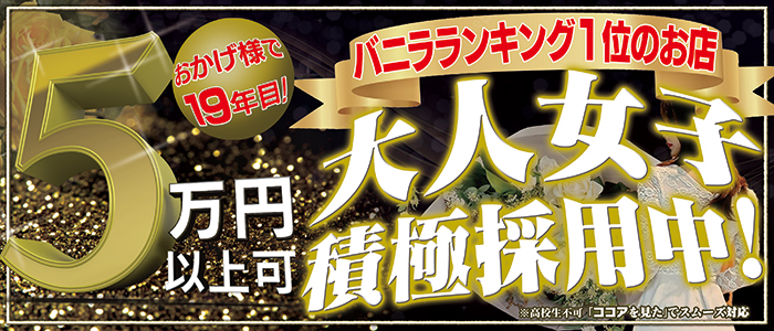 栃木の風俗男性求人・バイト【メンズバニラ】