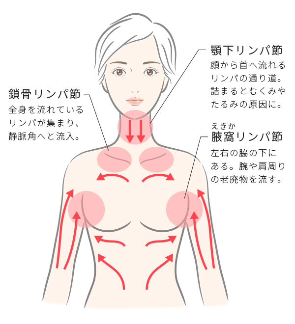 【セルフマッサージ】ゴッドハンド高橋ミカが教えてくれるお顔のリンパマッサージ #shrots