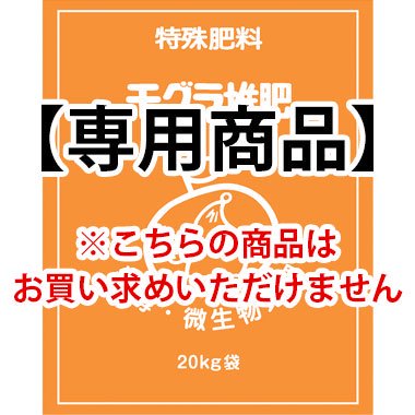 人気のプリント タイツ♪ もぐら