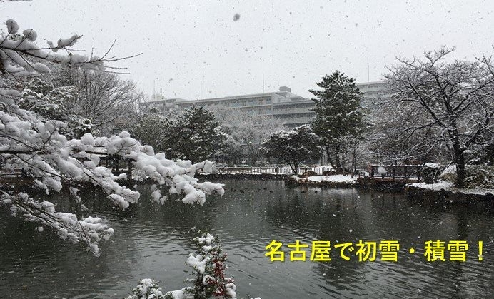 初雪の平和公園