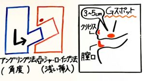 女性のGスポット・ポルチオ性感帯開発方法【図解】 | セクテクサイト