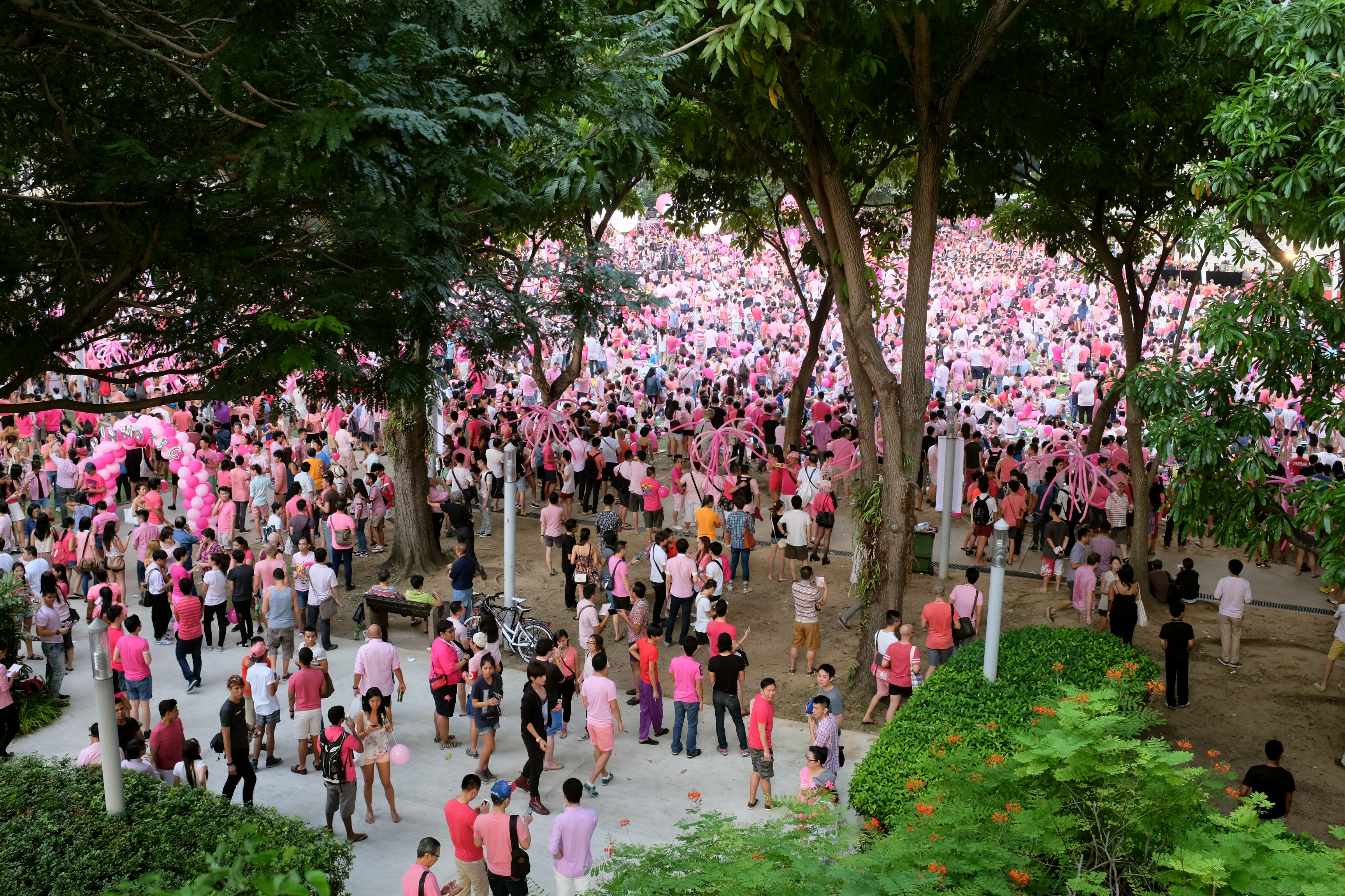 Pink And White