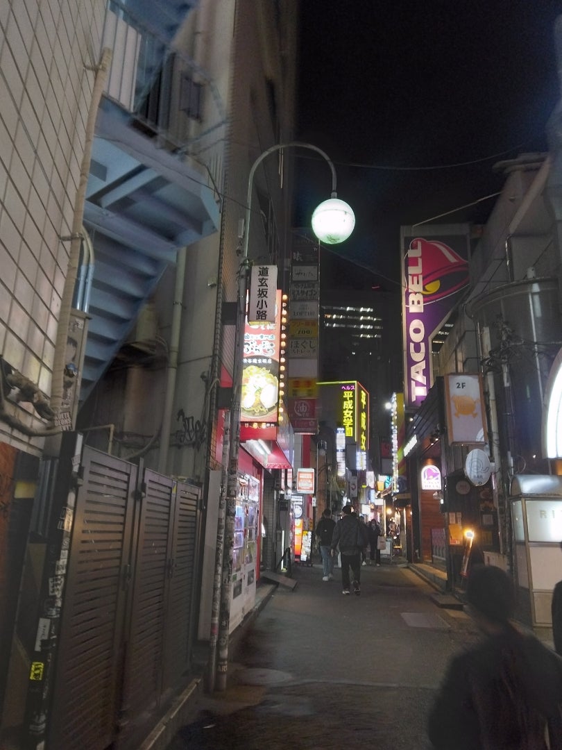 File:Riding Shonan-Shinjuku line