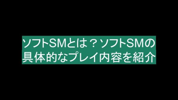 SMプレイは行為の前の「仕込み」が大切！気になるその内容とは？ | Ray(レイ)