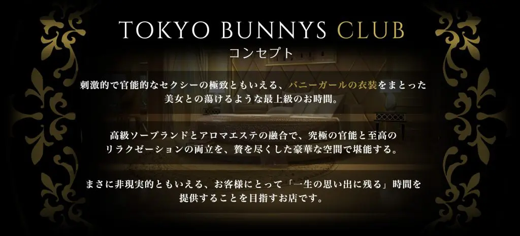 TOKYO BUNNYS CLUBの求人情報｜吉原のスタッフ・ドライバー男性高収入求人｜ジョブヘブン